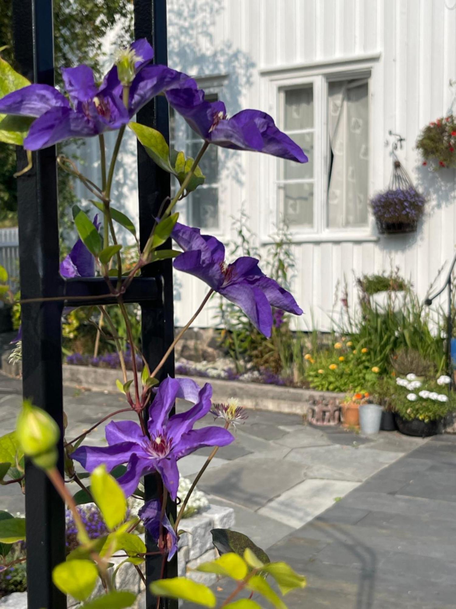 Ferienwohnung Sommerdrom I Sor Mandal Exterior foto