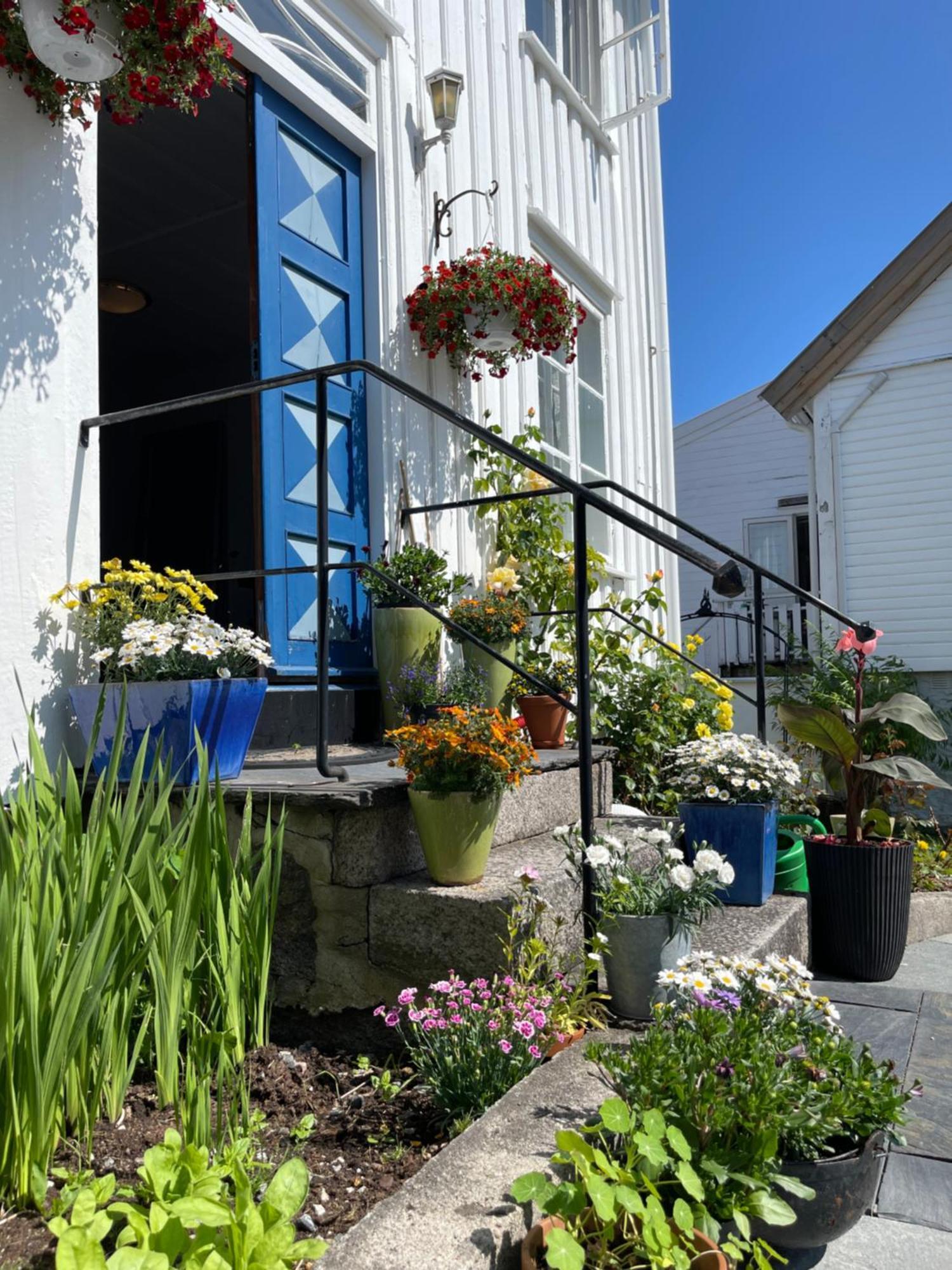 Ferienwohnung Sommerdrom I Sor Mandal Exterior foto